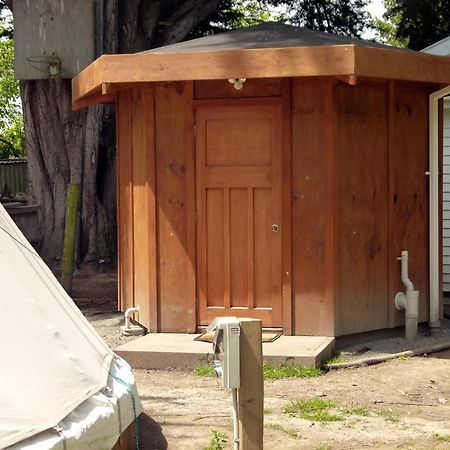 קאיקורה Wacky Stays - Unique Farm-Stay Glamping Rentals, Free Animal Feeding Tours מראה חיצוני תמונה