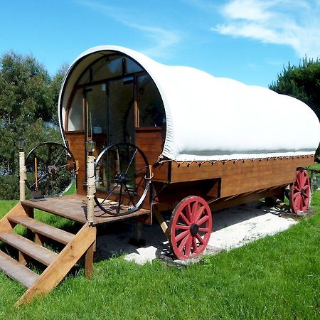 קאיקורה Wacky Stays - Unique Farm-Stay Glamping Rentals, Free Animal Feeding Tours מראה חיצוני תמונה