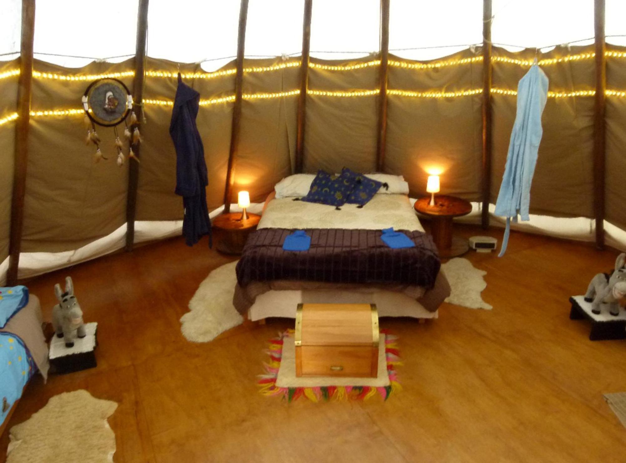 קאיקורה Wacky Stays - Unique Farm-Stay Glamping Rentals, Free Animal Feeding Tours מראה חיצוני תמונה