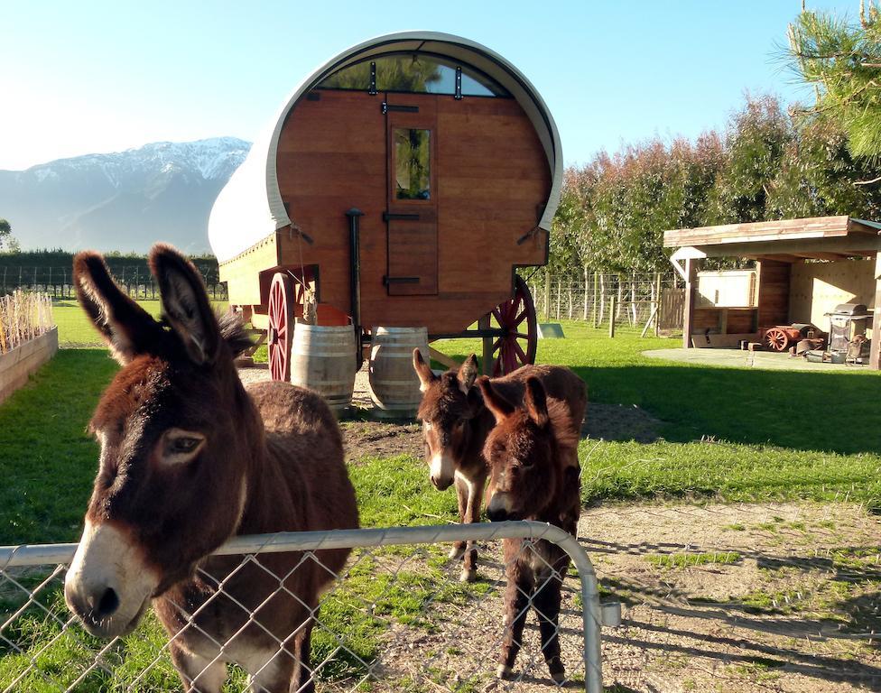 קאיקורה Wacky Stays - Unique Farm-Stay Glamping Rentals, Free Animal Feeding Tours מראה חיצוני תמונה