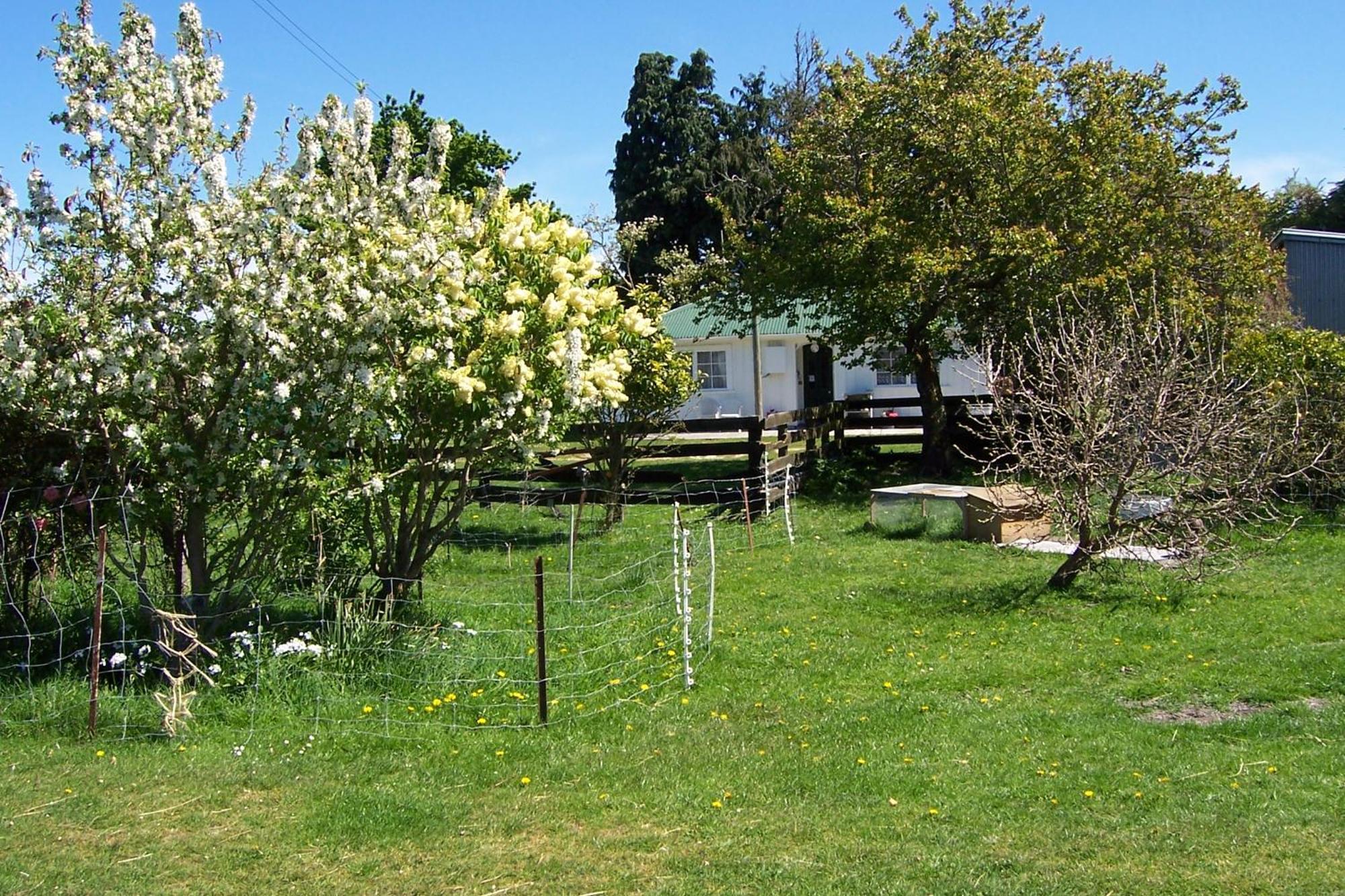 קאיקורה Wacky Stays - Unique Farm-Stay Glamping Rentals, Free Animal Feeding Tours מראה חיצוני תמונה
