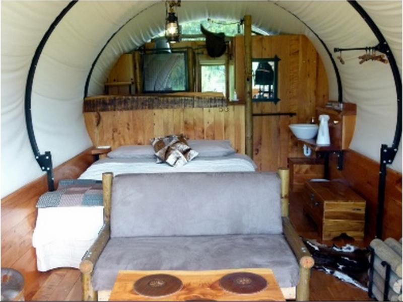 קאיקורה Wacky Stays - Unique Farm-Stay Glamping Rentals, Free Animal Feeding Tours מראה חיצוני תמונה