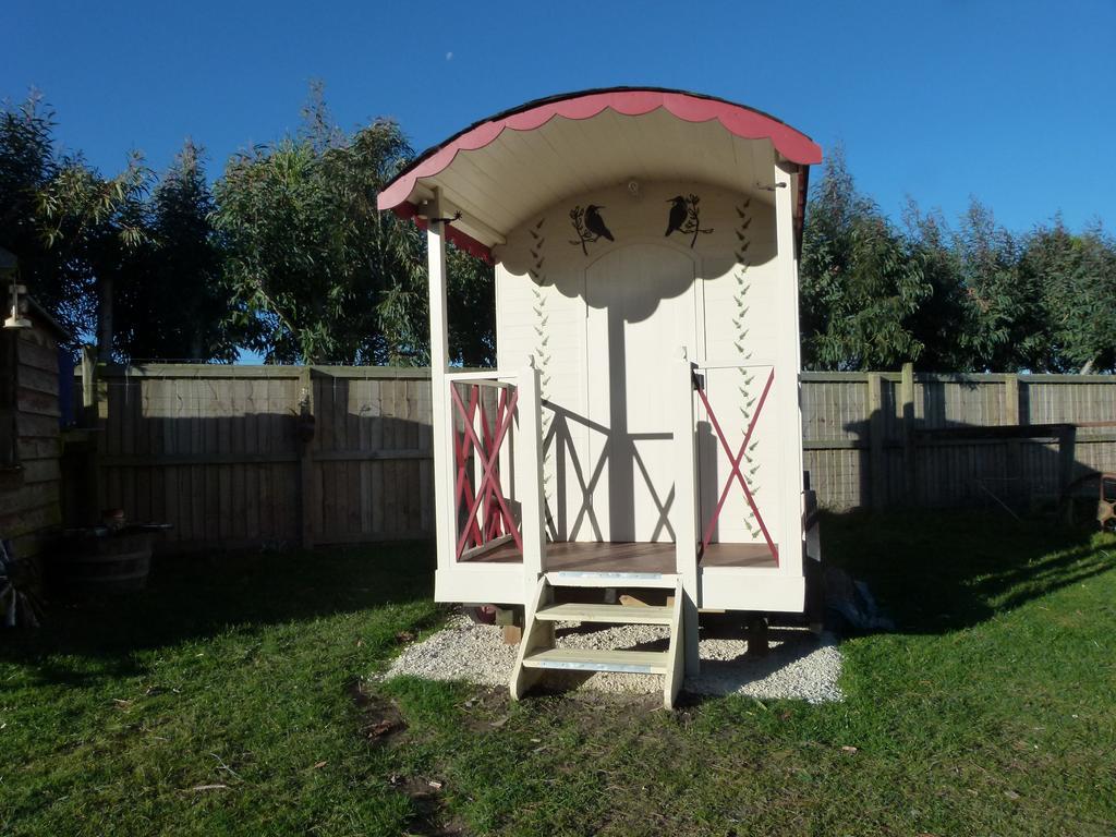 קאיקורה Wacky Stays - Unique Farm-Stay Glamping Rentals, Free Animal Feeding Tours מראה חיצוני תמונה