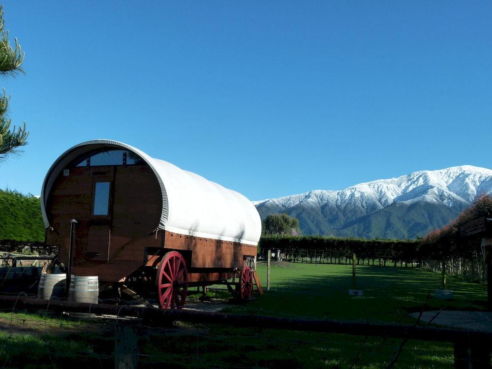 קאיקורה Wacky Stays - Unique Farm-Stay Glamping Rentals, Free Animal Feeding Tours מראה חיצוני תמונה