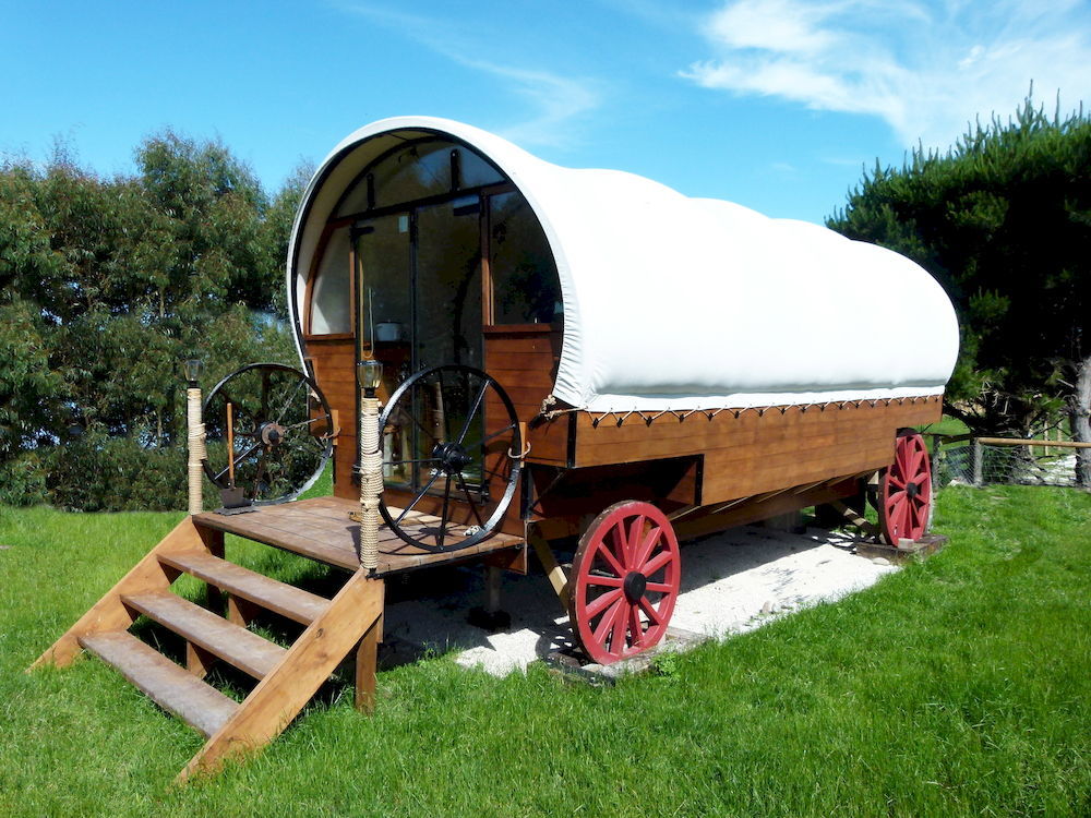 קאיקורה Wacky Stays - Unique Farm-Stay Glamping Rentals, Free Animal Feeding Tours מראה חיצוני תמונה