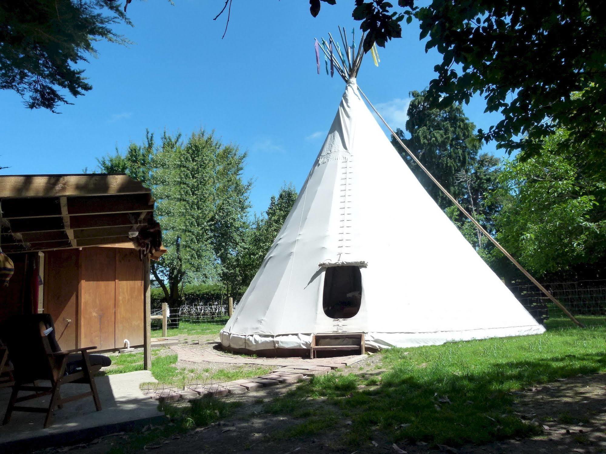 קאיקורה Wacky Stays - Unique Farm-Stay Glamping Rentals, Free Animal Feeding Tours מראה חיצוני תמונה
