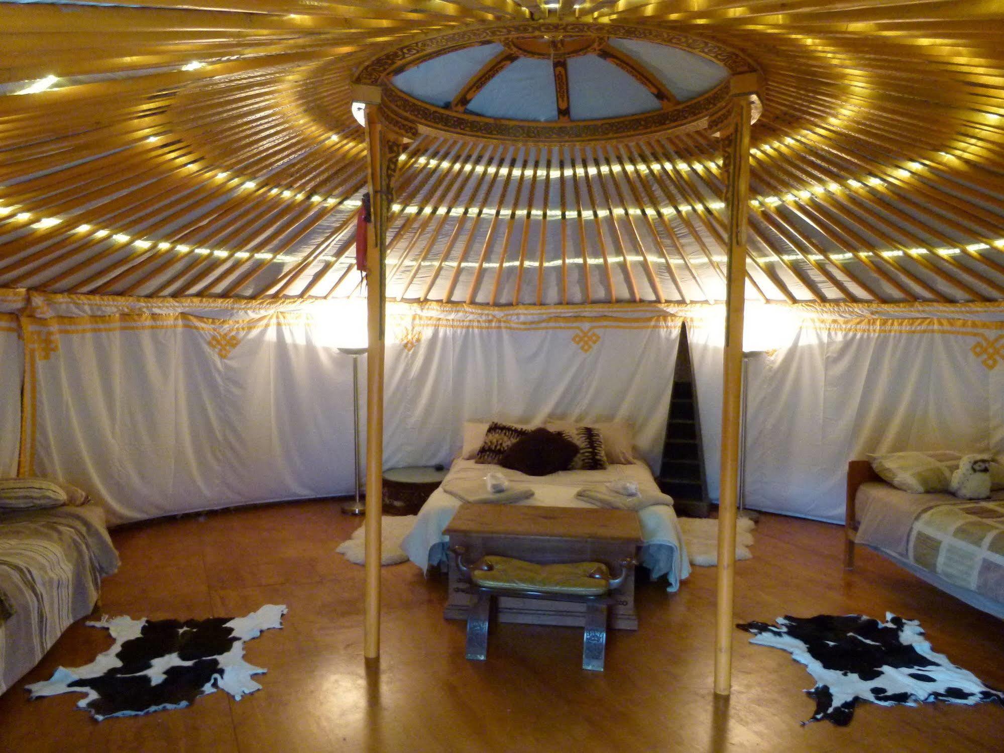 קאיקורה Wacky Stays - Unique Farm-Stay Glamping Rentals, Free Animal Feeding Tours מראה חיצוני תמונה