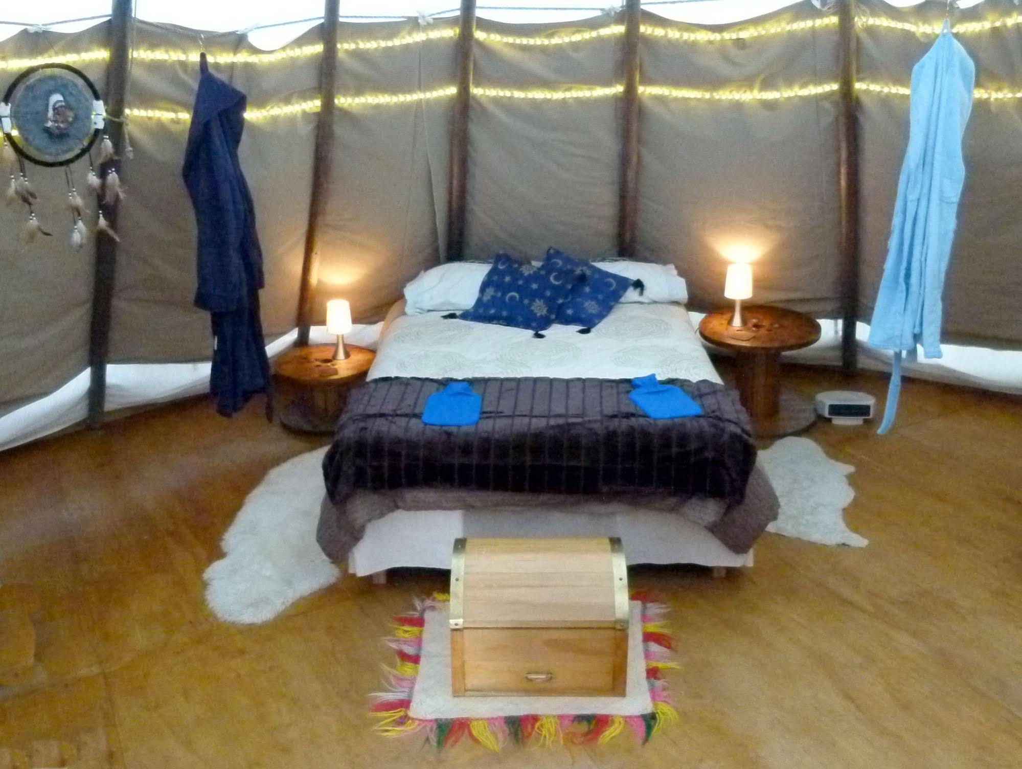קאיקורה Wacky Stays - Unique Farm-Stay Glamping Rentals, Free Animal Feeding Tours מראה חיצוני תמונה