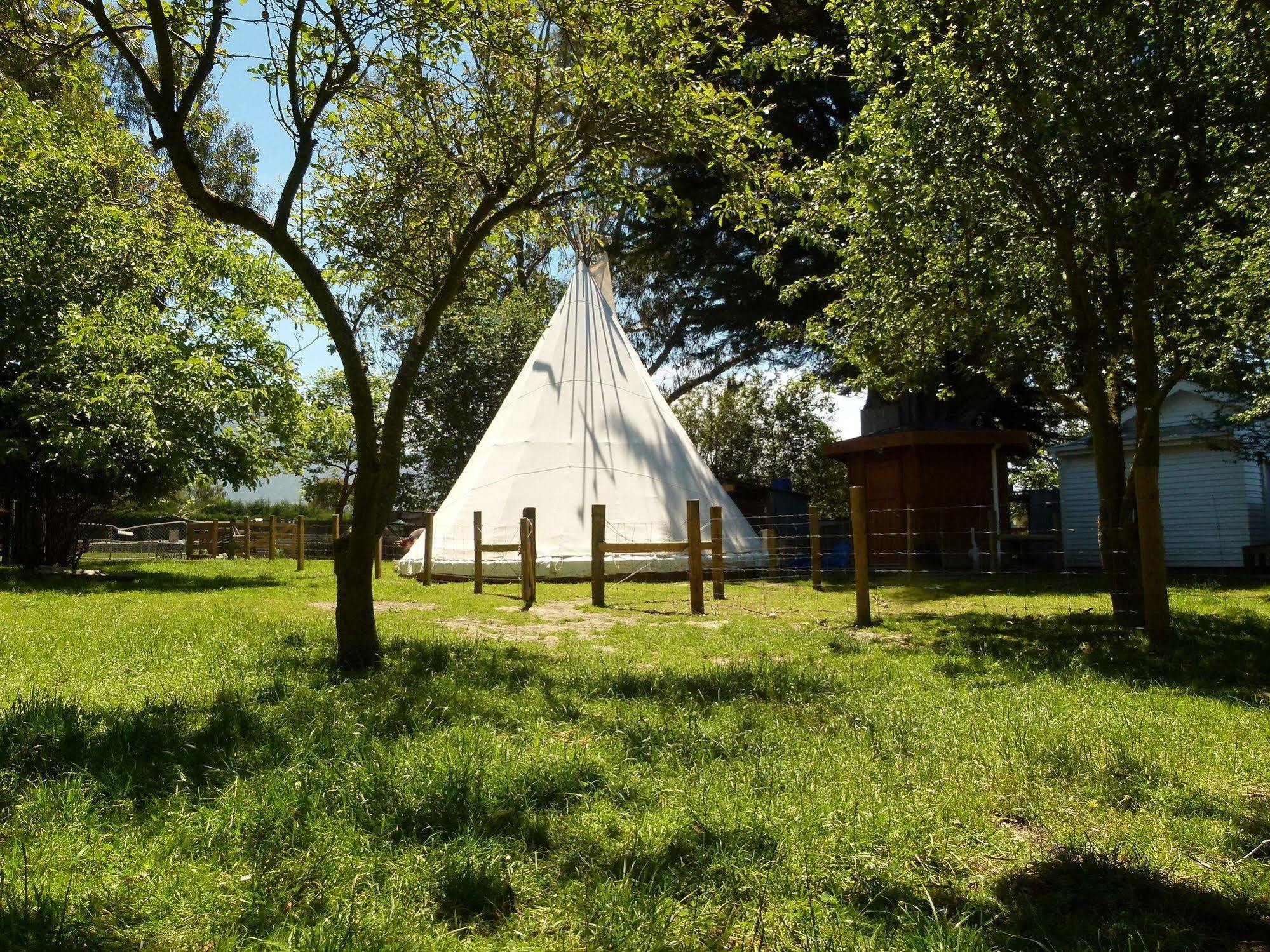 קאיקורה Wacky Stays - Unique Farm-Stay Glamping Rentals, Free Animal Feeding Tours מראה חיצוני תמונה