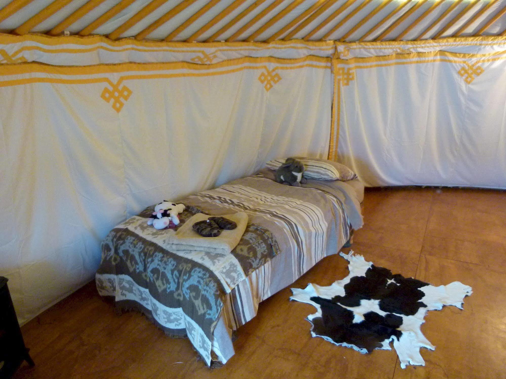 קאיקורה Wacky Stays - Unique Farm-Stay Glamping Rentals, Free Animal Feeding Tours מראה חיצוני תמונה