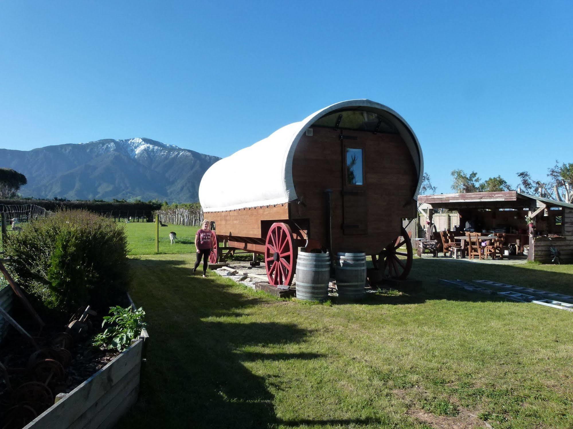 קאיקורה Wacky Stays - Unique Farm-Stay Glamping Rentals, Free Animal Feeding Tours מראה חיצוני תמונה